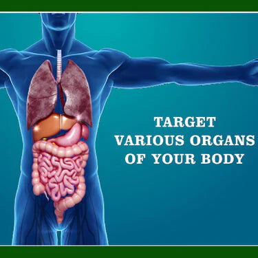 Acupressure and Magnetic Therapy Paduka Slippers for Full Body Blood Circulation For Men and Women