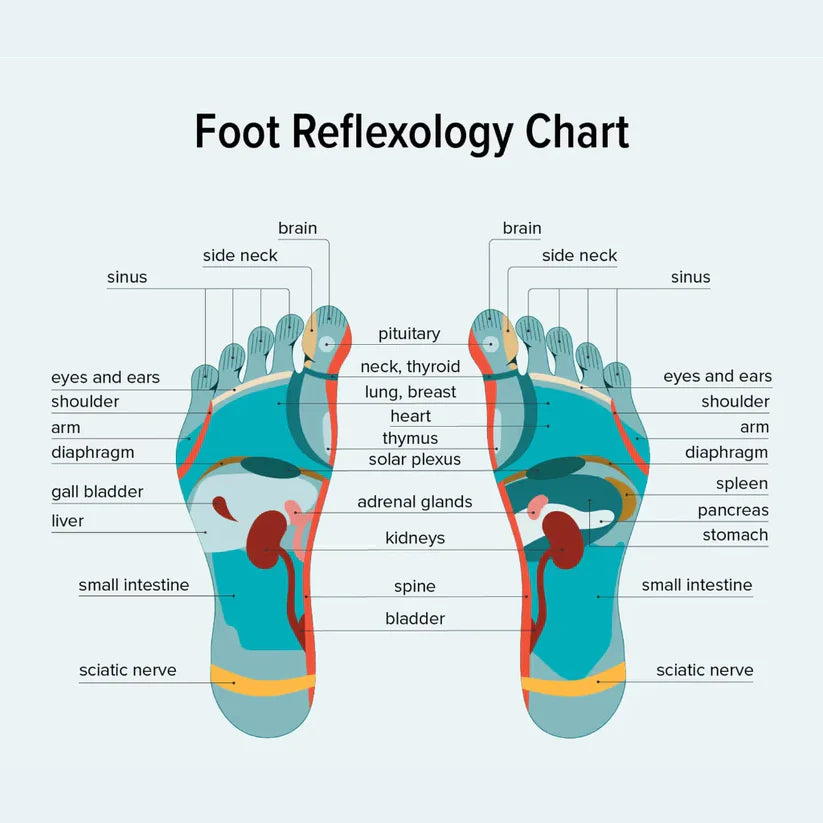 Acupressure and Magnetic Therapy Paduka Slippers for Full Body Blood Circulation For Men and Women